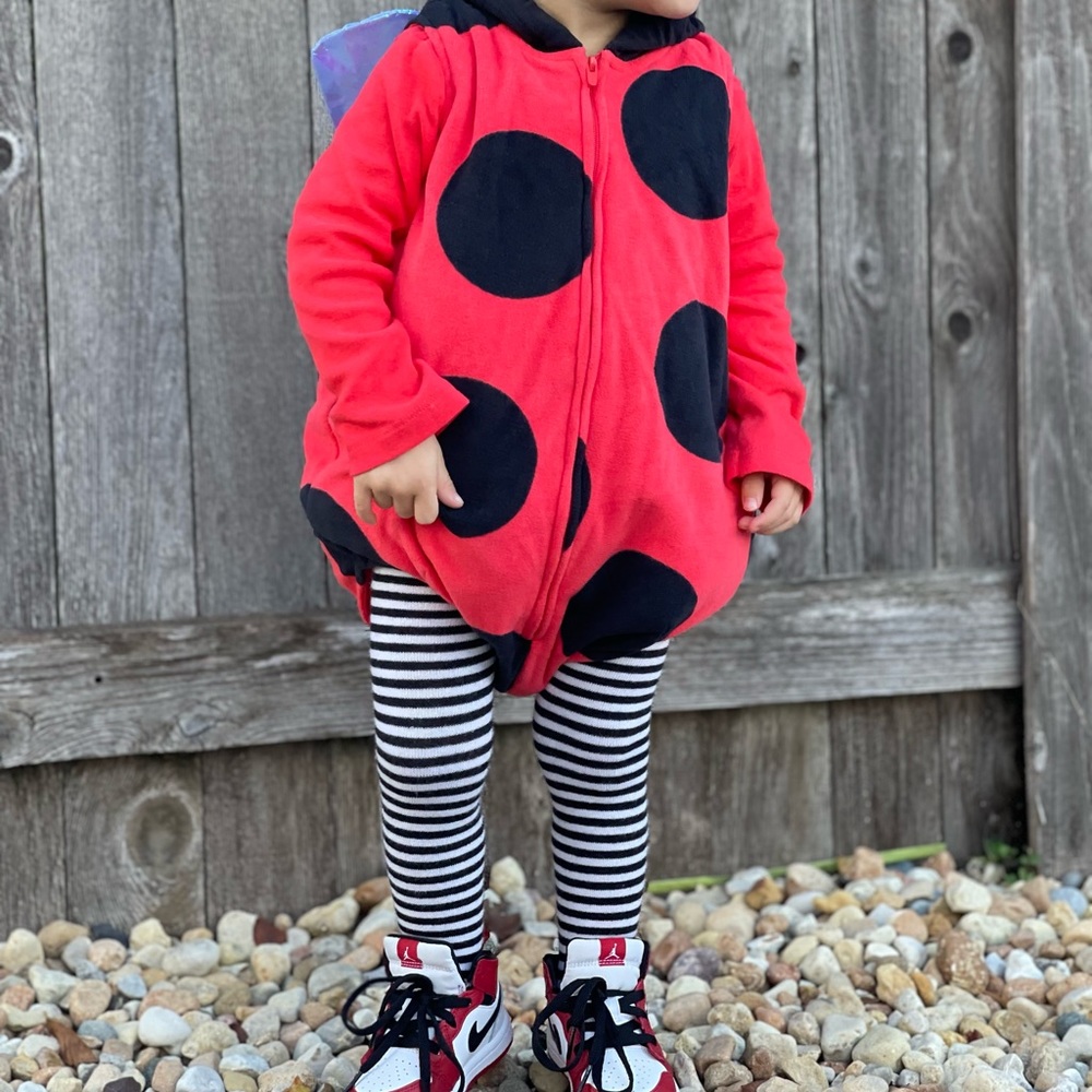 Halloween Ladybug costume size 24 months